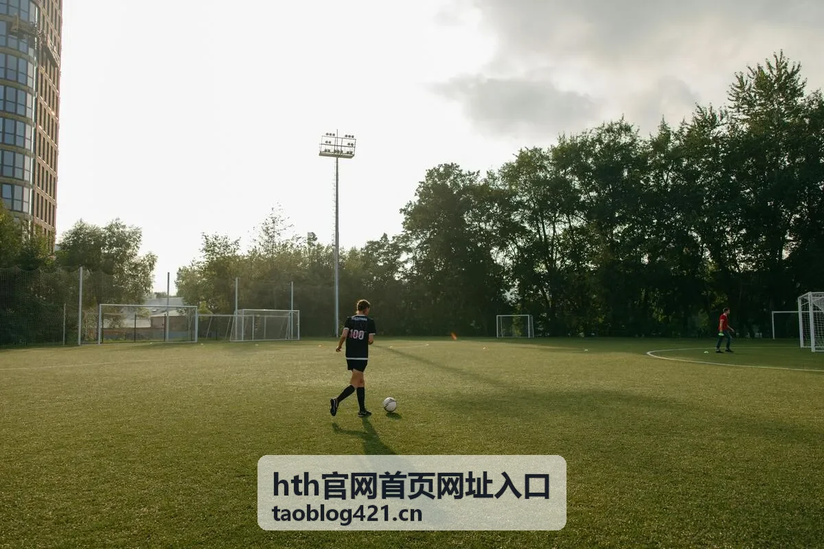 hth官网首页网址入口页面首屏示意图